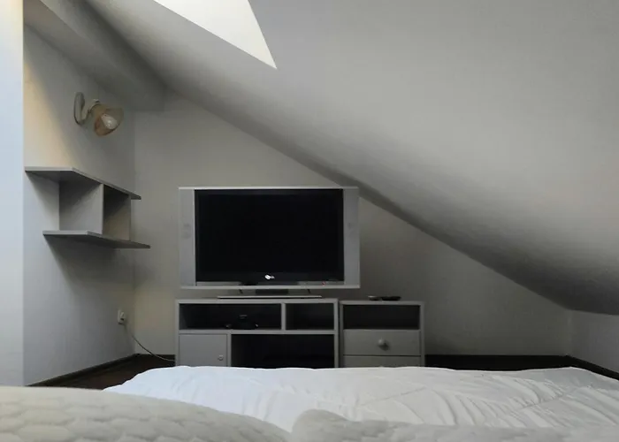 Winnica * 크라쿠프